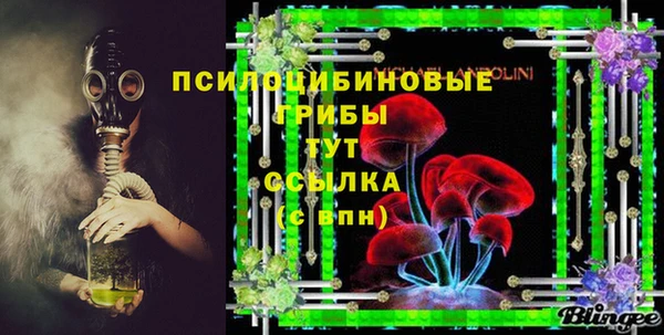 дурь Аркадак