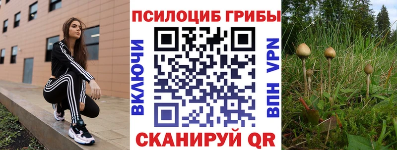 hydra онион  Реж  Псилоцибиновые грибы Psilocybe 